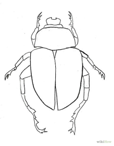429px-Draw-a-Scarab-Beetle-Step-7